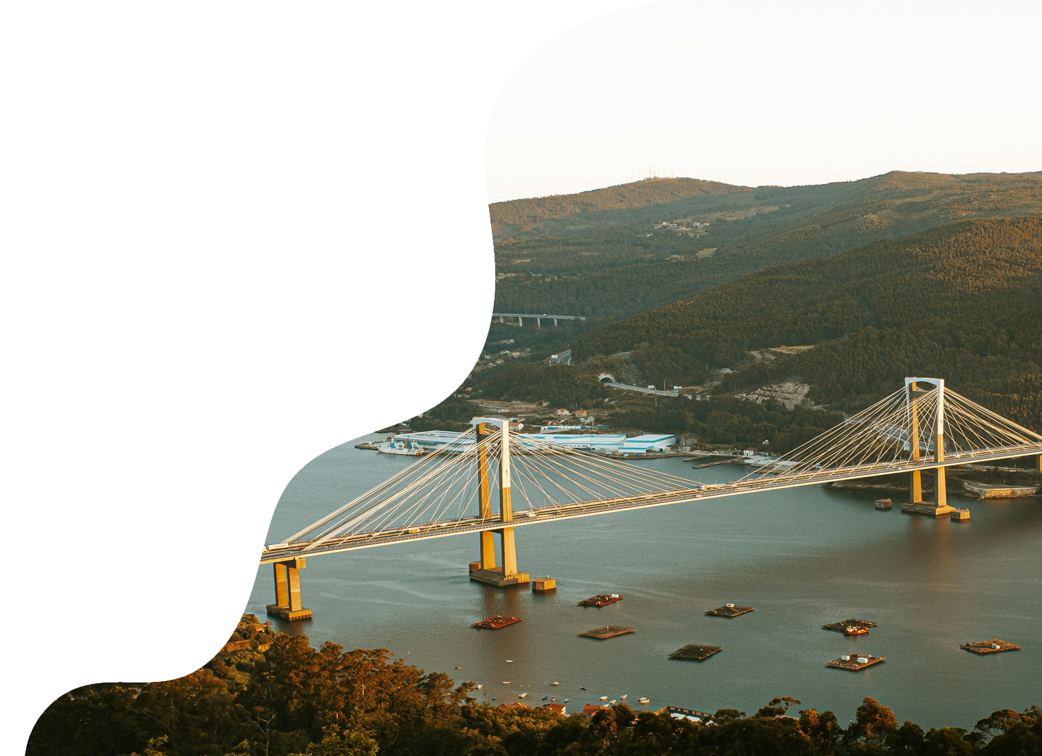 imagen-destacada-vigo